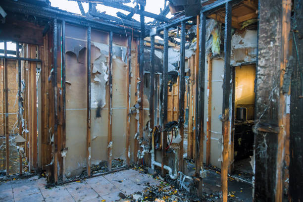 Professional Fire Damage Assessment technician working in Euless, TX